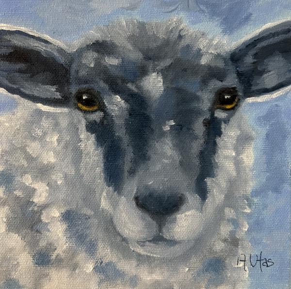 Belinda's Sheep