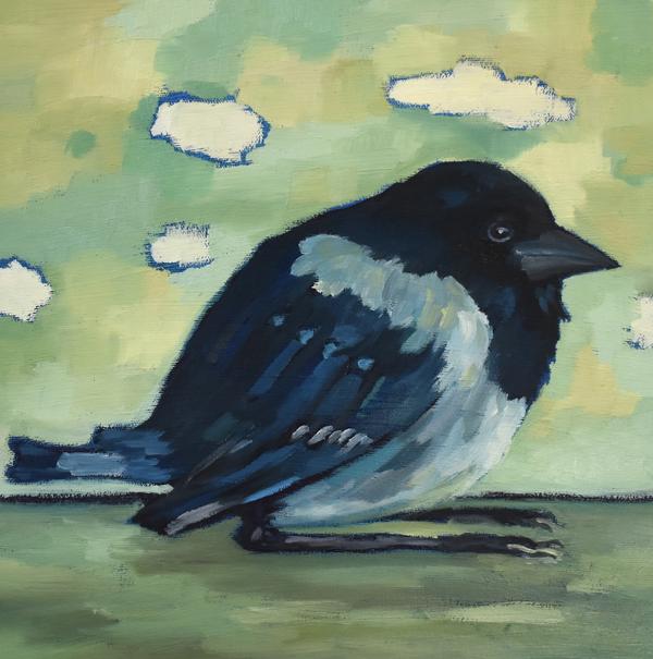 Big Baby Magpie