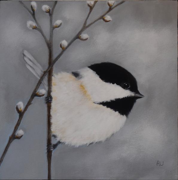 Chickadee with Pussy Willows