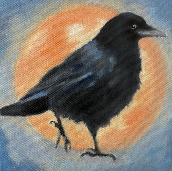 Crow Sunrise