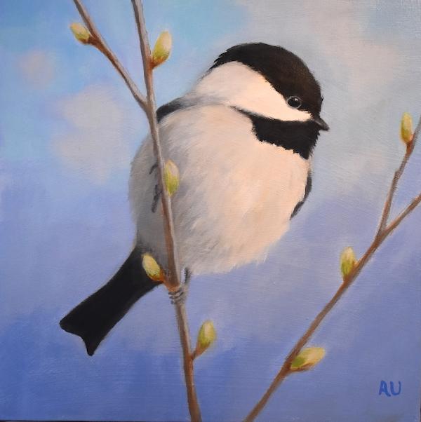 Spring Chickadee