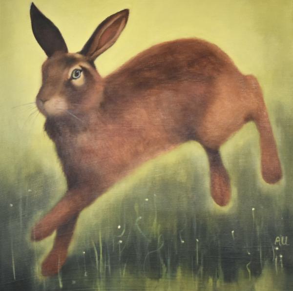 Spring Hare