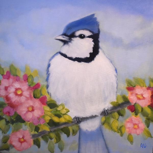 Summer Blue Jay