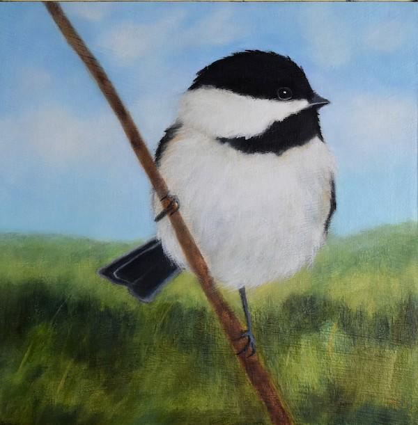 Summer Chickadee